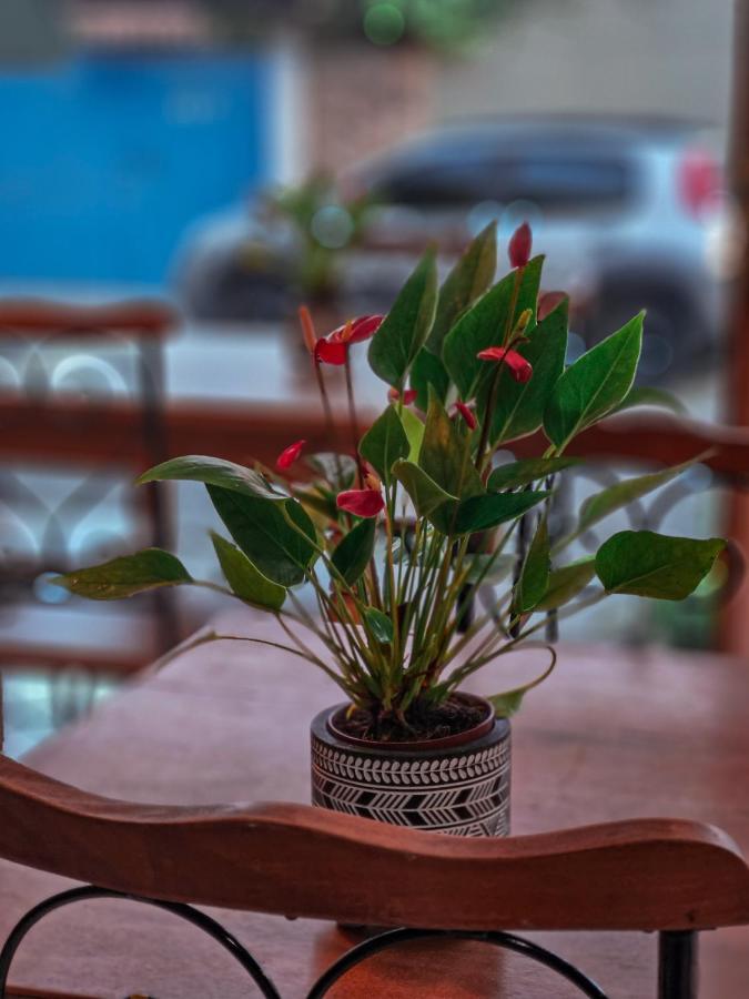 Bliss Hoteis Centro Армасан-душ-Бузіус Екстер'єр фото Anthurium